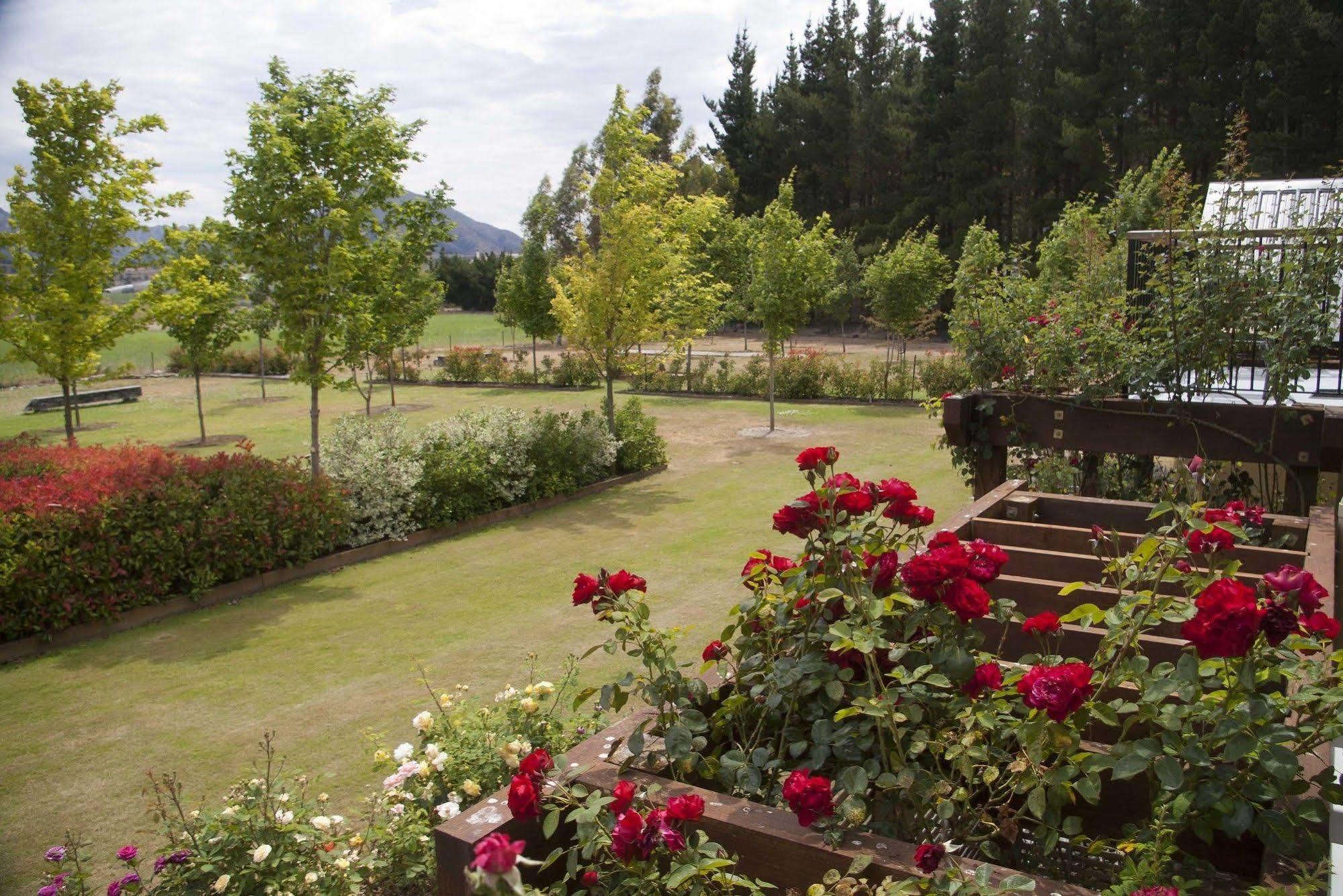 Maple Lodge Luxury Bed & Breakfast Albert Town Dış mekan fotoğraf